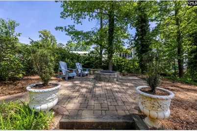 1145 Indian Summer Point, Chapin, SC 29036 - Photo 54