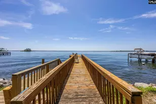 1145 Indian Summer Point, Chapin, SC 29036 - Photo 48