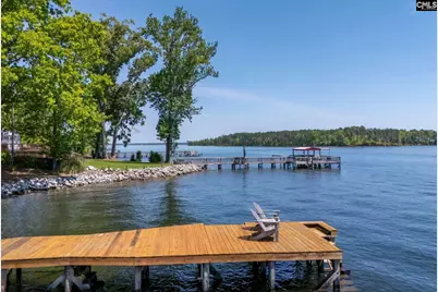 1145 Indian Summer Point, Chapin, SC 29036 - Photo 56