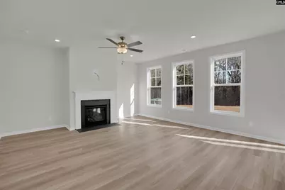652 Old Charleston Road, Pelion, SC 29123 - Photo 6