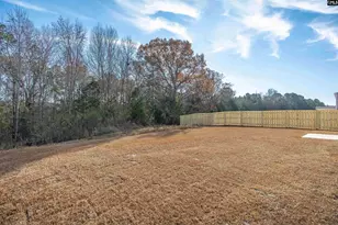 652 Old Charleston Rd, Pelion, SC 29123 - Photo 2