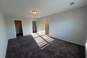 1106 Bergenfield Ln, Chapin, SC 29036 - Photo 12