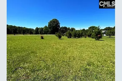 Tbd Shady Acres Drive, Chapin, SC 29036 - Photo 1