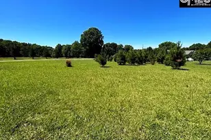 Tbd Shady Acres Dr, Chapin, SC 29036 - Photo 1