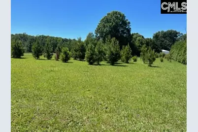 Tbd Shady Acres Drive, Chapin, SC 29036 - Photo 4