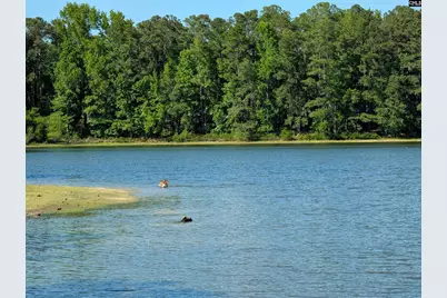 309 E Park Shore Drive, Columbia, SC 29223 - Photo 46