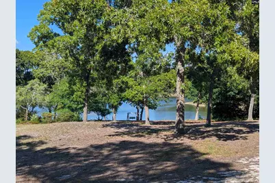 309 E Park Shore Drive, Columbia, SC 29223 - Photo 42