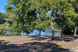 309 E Park Shore Dr, Columbia, SC 29223 - Photo 42