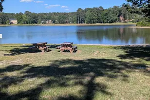 309 E Park Shore Dr, Columbia, SC 29223 - Photo 44