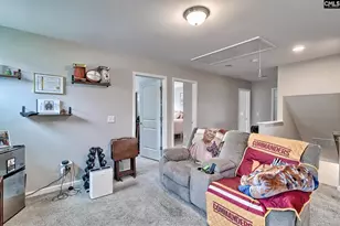 87 Texas Black Way, Elgin, SC 29045 - Photo 28