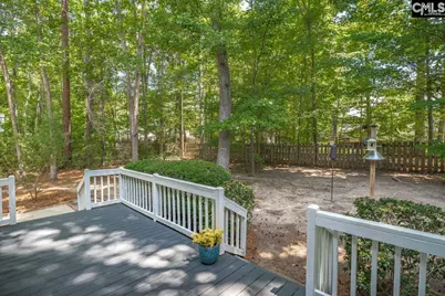 221 Baron Road, Lexington, SC 29072 - Photo 38
