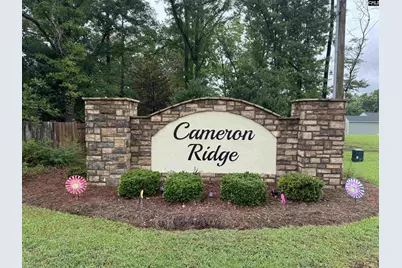 6033 Silver Mustang Lane, Columbia, SC 29209 - Photo 34