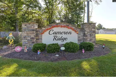 6031 Silver Mustang Lane, Columbia, SC 29209 - Photo 10