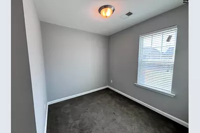 226 Sallie Gordon Lane, Elgin, SC 29045 - Photo 38