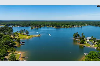 171 Marina Cove Drive, Gilbert, SC 29054 - Photo 36