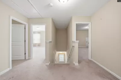 204 Saints Creek Lane, Irmo, SC 29063 - Photo 24
