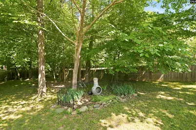204 Saints Creek Lane, Irmo, SC 29063 - Photo 44