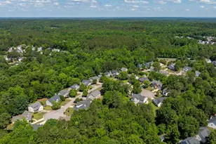204 Saints Creek Ln, Irmo, SC 29063 - Photo 54