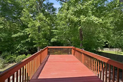 204 Saints Creek Lane, Irmo, SC 29063 - Photo 38