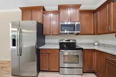 204 Saints Creek Lane, Irmo, SC 29063 - Photo 8