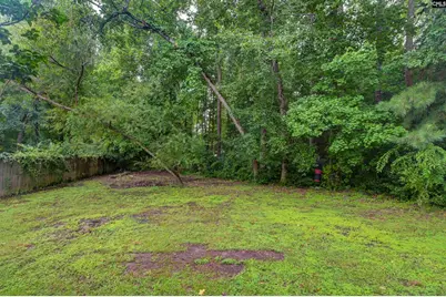 109 Gibson Forest Drive, Lexington, SC 29072 - Photo 30