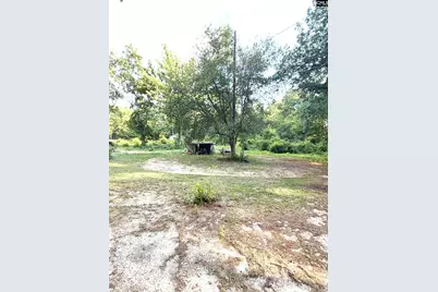 123 Mack Edisto Road, Swansea, SC 29160 - Photo 16
