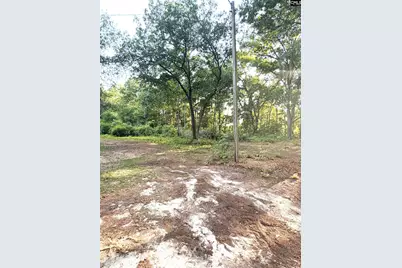 123 Mack Edisto Road, Swansea, SC 29160 - Photo 14