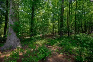 364 Governors Grant Blvd, Lexington, SC 29072 - Photo 62