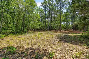 614 Longs Pond Rd, Lexington, SC 29073 - Photo 72