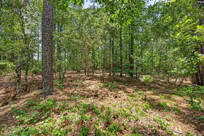 614 Longs Pond Road, Lexington, SC 29073 - Photo 74