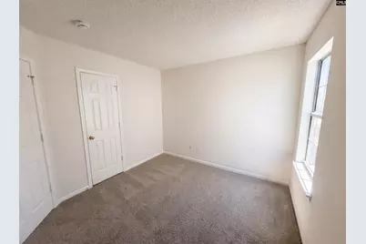 213 Elders Pond Drive, Columbia, SC 29229 - Photo 14