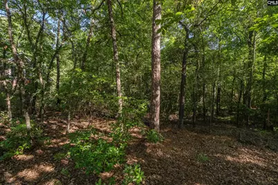 212 Lake Carolina Boulevard, Columbia, SC 29229 - Photo 28
