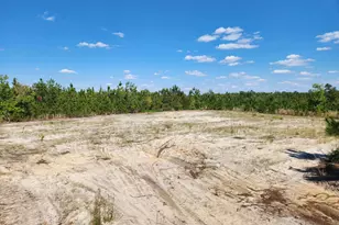 3037 Providence Rd, Cassatt, SC 29032 - Photo 1