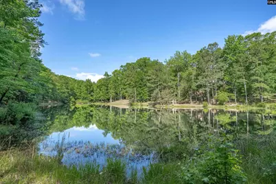 217 Ashley Oaks Drive, Blythewood, SC 29016 - Photo 36