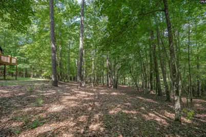217 Ashley Oaks Drive, Blythewood, SC 29016 - Photo 44