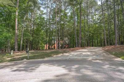 217 Ashley Oaks Drive, Blythewood, SC 29016 - Photo 38