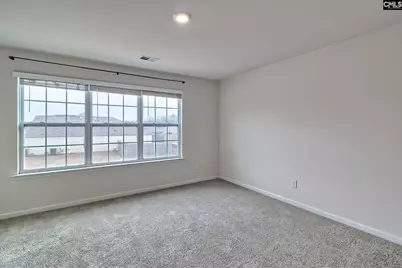 116 Rushton Drive, Chapin, SC 29036 - Photo 28