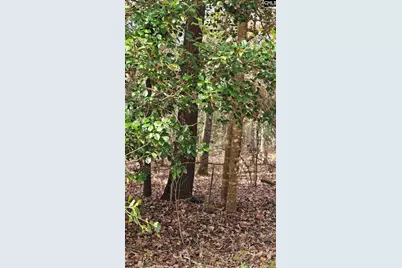 4079 Jefferson Davis Highway, Bethune, SC 29009 - Photo 28