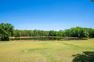 4624 Augusta Hwy, Gilbert, SC 29054 - Photo 36