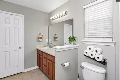 86 Crossfox Court, Chapin, SC 29036 - Photo 30