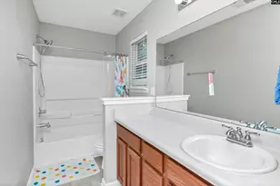 86 Crossfox Ct, Chapin, SC 29036 - Photo 20