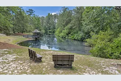 12 W Canterbury Court, Blythewood, SC 29016 - Photo 70