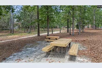 12 W Canterbury Court, Blythewood, SC 29016 - Photo 78