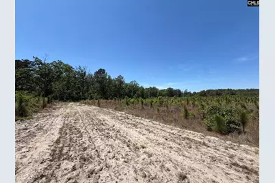 Hrf 1 Holstein Road #HRF 1, Wagener, SC 29164 - Photo 34