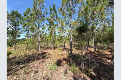 Hrf 2 Holstein Road #HRF 2, Wagener, SC 29164 - Photo 6