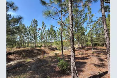 Hrf 3 Holstein Road #HRF 3, Wagener, SC 29164 - Photo 4