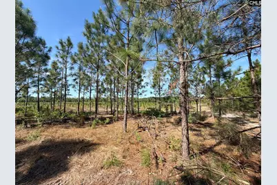 Hrf 3 Holstein Road #HRF 3, Wagener, SC 29164 - Photo 2