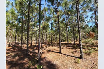 Hrf 4 Holstein Road #HRF 4, Wagener, SC 29164 - Photo 2