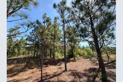 Hrf 4 Holstein Road #HRF 4, Wagener, SC 29164 - Photo 6