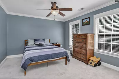447 Beaumont Park Circle, Blythewood, SC 29016 - Photo 28